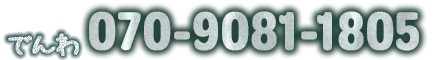 070-9081-1805